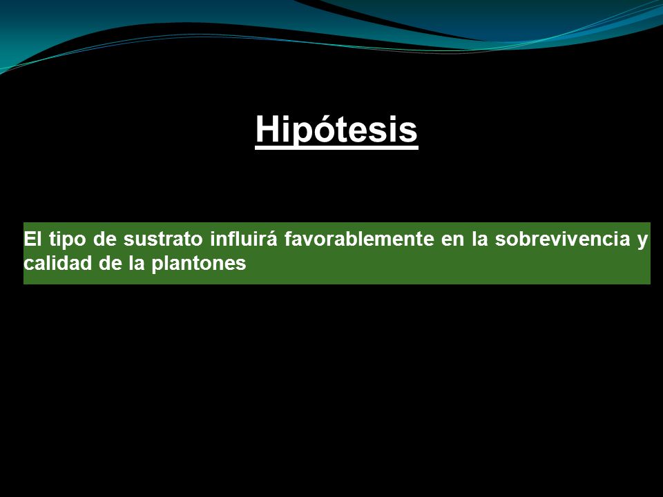 Hipótesis El tipo de sustrato influirá favorablemente en la sobrevivencia y calidad de la plantones