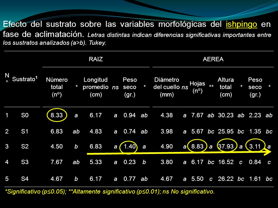 Efecto del sustrato sobre las variables morfológicas del ishpingo en fase de aclimatación. Letras distintas indican diferencias significativas importantes entre los sustratos analizados (a>b). Tukey.