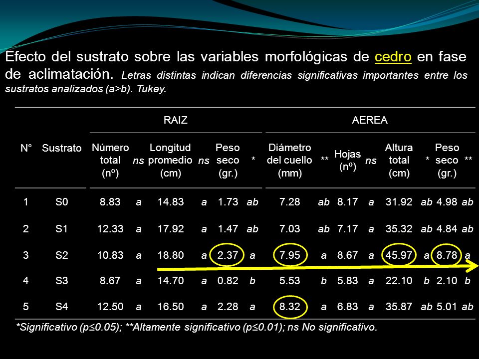 Efecto del sustrato sobre las variables morfológicas de cedro en fase de aclimatación. Letras distintas indican diferencias significativas importantes entre los sustratos analizados (a>b). Tukey.