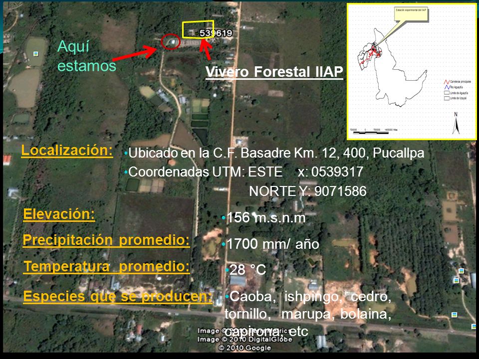 Aquí estamos Vivero Forestal IIAP Localización: Elevación: 156 m.s.n.m