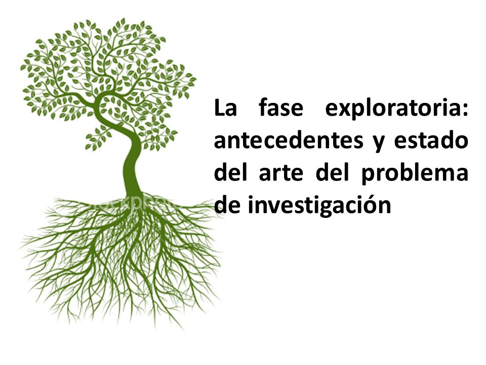 La fase exploratoria: antecedentes y estado del arte del problema de investigación