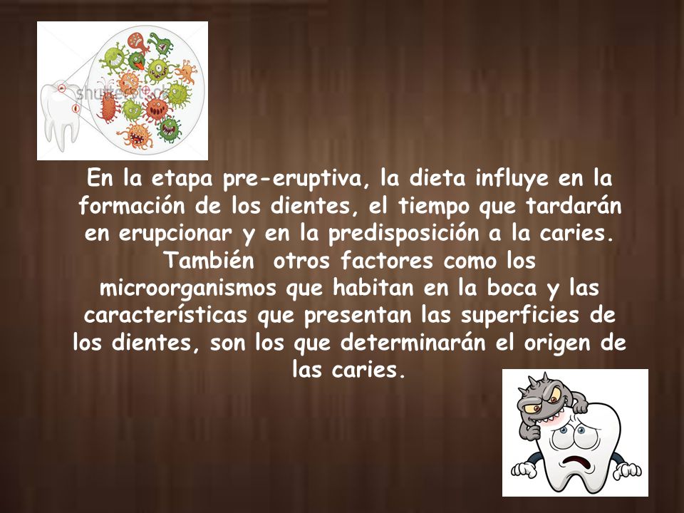 En la etapa pre-eruptiva, la dieta influye en la formación de los dientes, el tiempo que tardarán en erupcionar y en la predisposición a la caries.