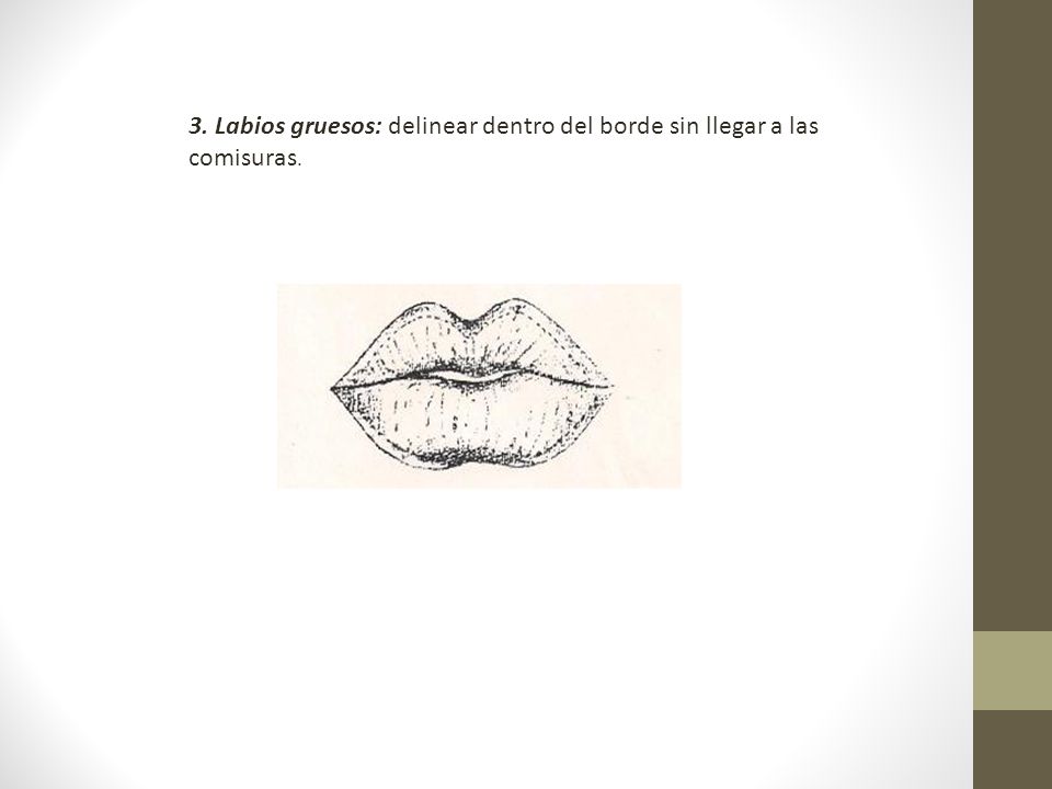 3. Labios gruesos: delinear dentro del borde sin llegar a las comisuras.