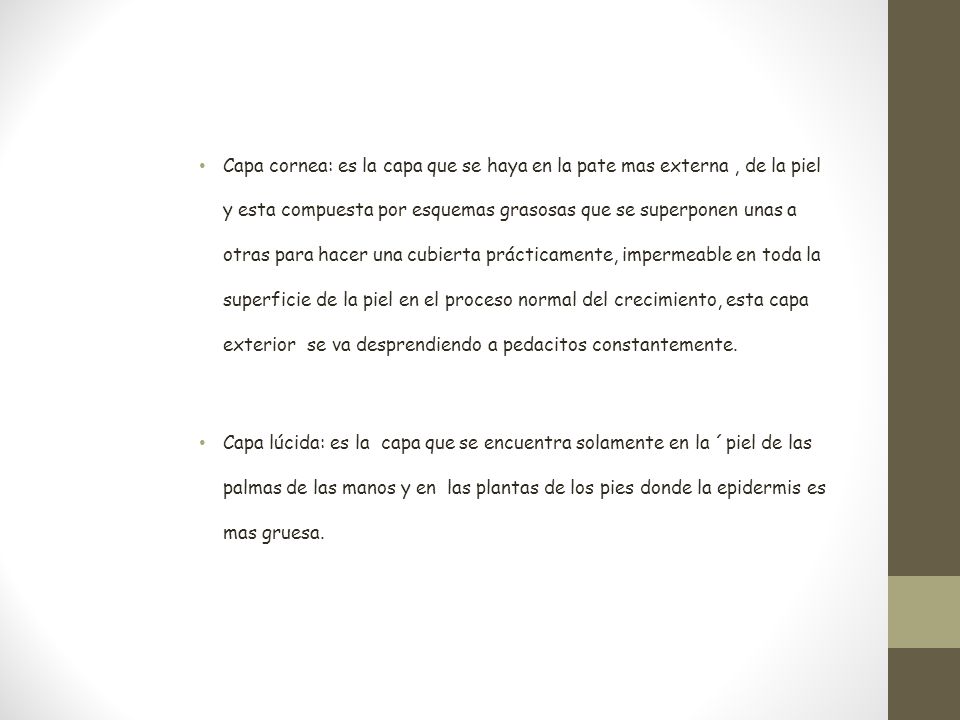 Capa cornea: es la capa que se haya en la pate mas externa , de la piel y esta compuesta por esquemas grasosas que se superponen unas a otras para hacer una cubierta prácticamente, impermeable en toda la superficie de la piel en el proceso normal del crecimiento, esta capa exterior se va desprendiendo a pedacitos constantemente.