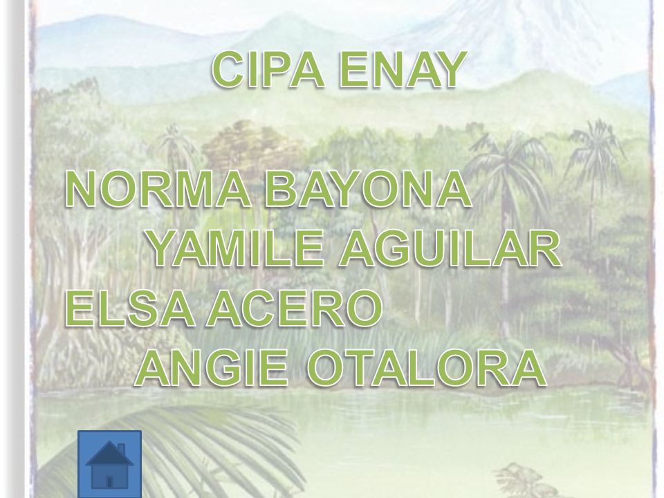 CIPA ENAY NORMA BAYONA YAMILE AGUILAR ELSA ACERO ANGIE OTALORA