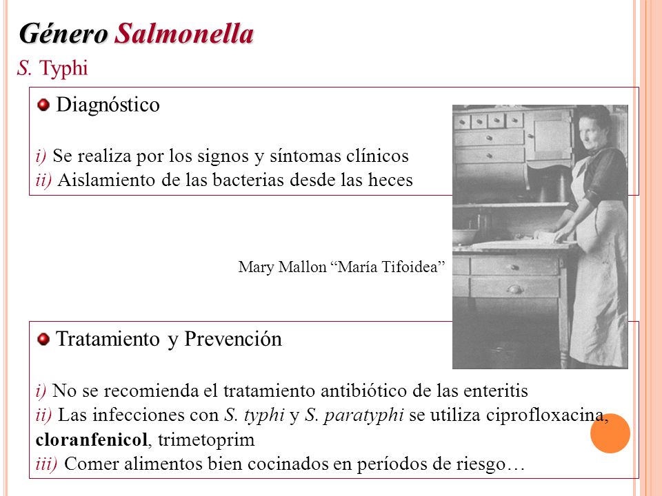 Género Salmonella S. Typhi Diagnóstico Tratamiento y Prevención