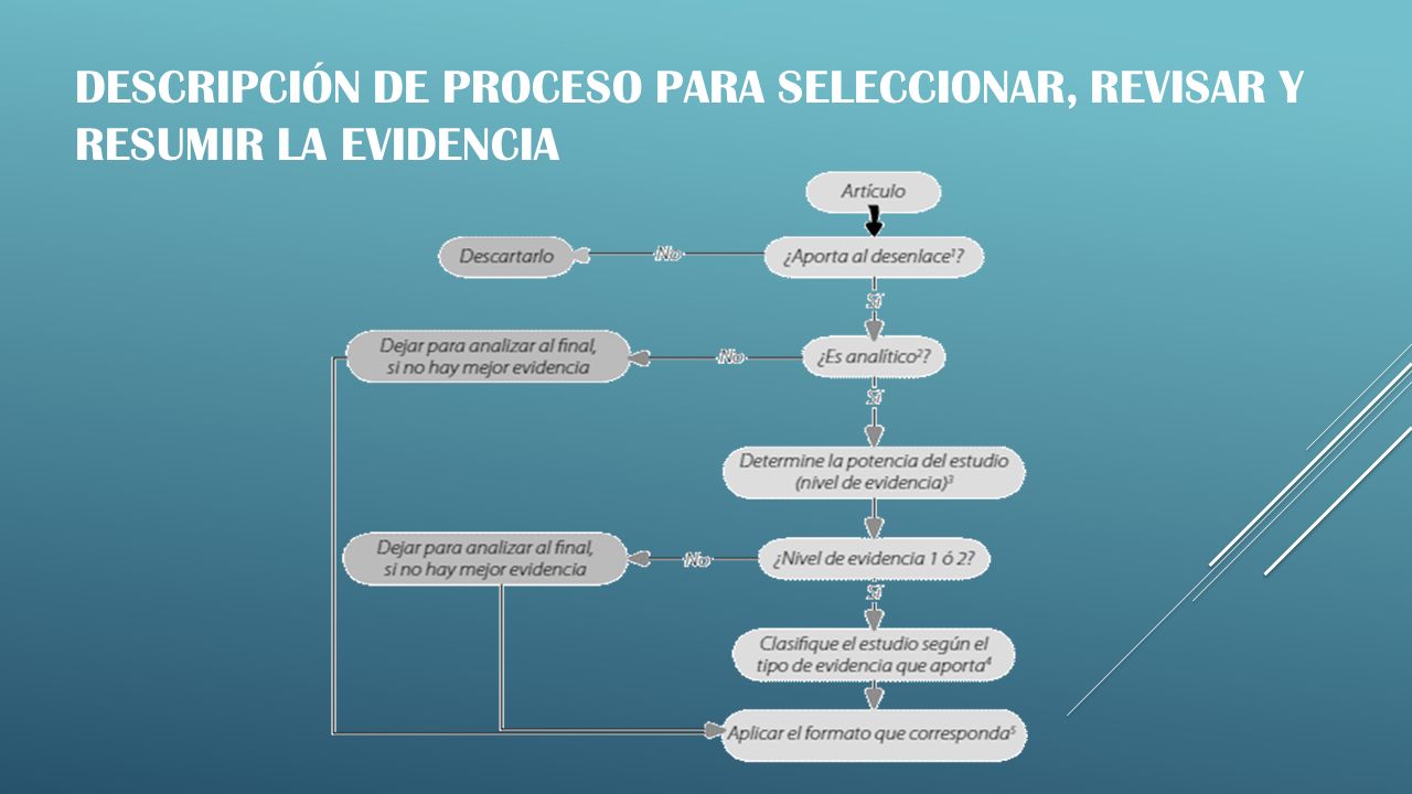 Descripción de proceso para seleccionar, revisar y resumir la evidencia