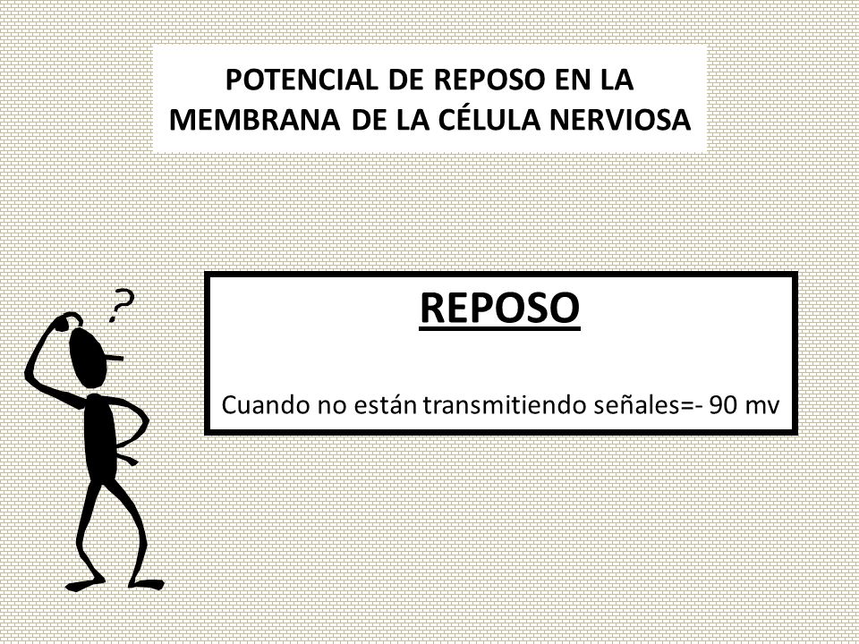 POTENCIAL DE REPOSO EN LA MEMBRANA DE LA CÉLULA NERVIOSA