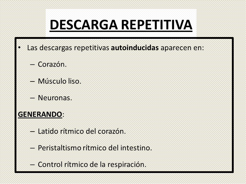 DESCARGA REPETITIVA Las descargas repetitivas autoinducidas aparecen en: Corazón. Músculo liso. Neuronas.