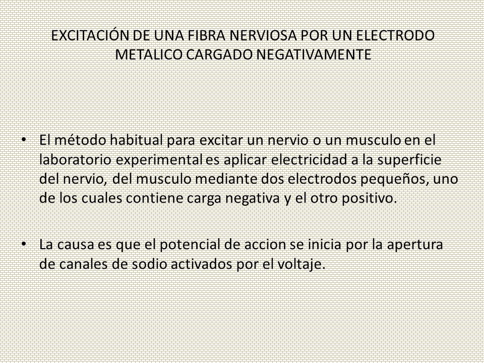 EXCITACIÓN DE UNA FIBRA NERVIOSA POR UN ELECTRODO METALICO CARGADO NEGATIVAMENTE