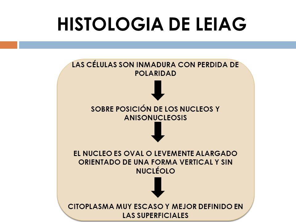HISTOLOGIA DE LEIAG LAS CÉLULAS SON INMADURA CON PERDIDA DE POLARIDAD
