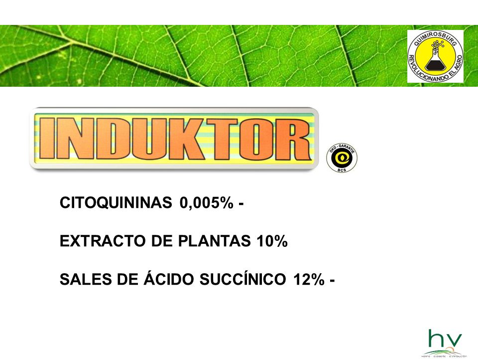 CITOQUININAS 0,005% - EXTRACTO DE PLANTAS 10% SALES DE ÁCIDO SUCCÍNICO 12% -