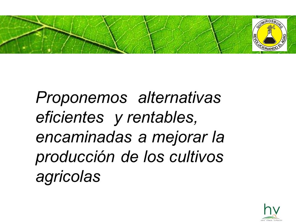 Proponemos alternativas eficientes y rentables, encaminadas a mejorar la producción de los cultivos agricolas