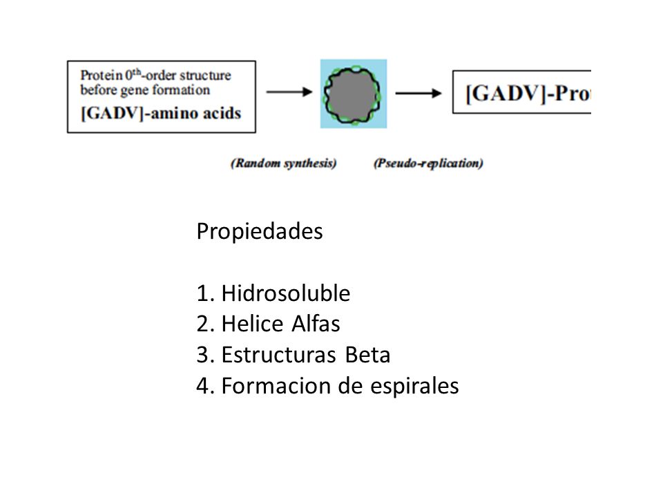 Propiedades Hidrosoluble Helice Alfas Estructuras Beta Formacion de espirales