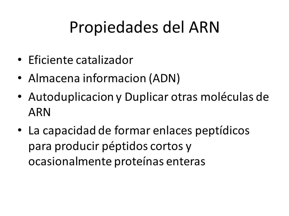 Propiedades del ARN Eficiente catalizador Almacena informacion (ADN)