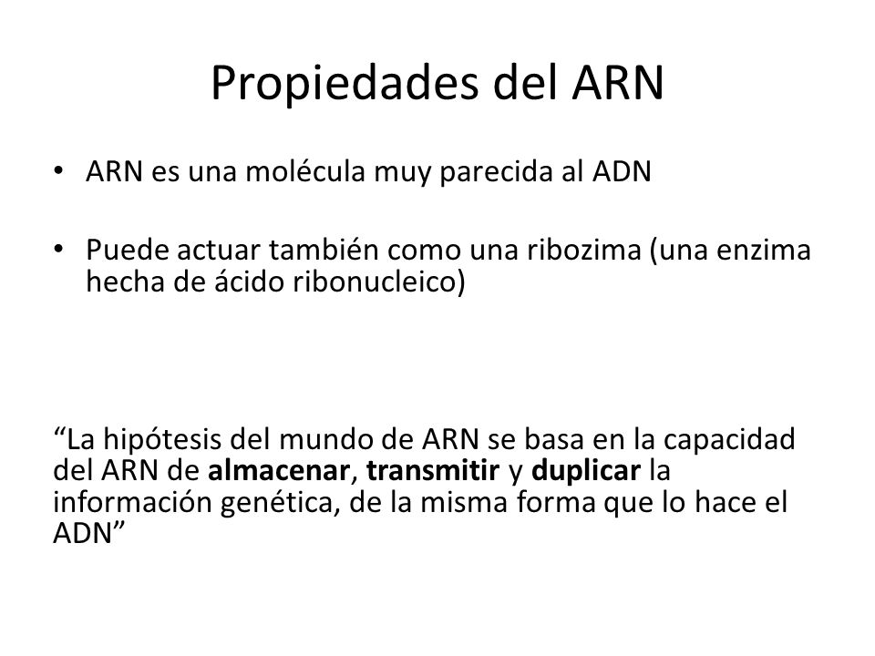 Propiedades del ARN ARN es una molécula muy parecida al ADN