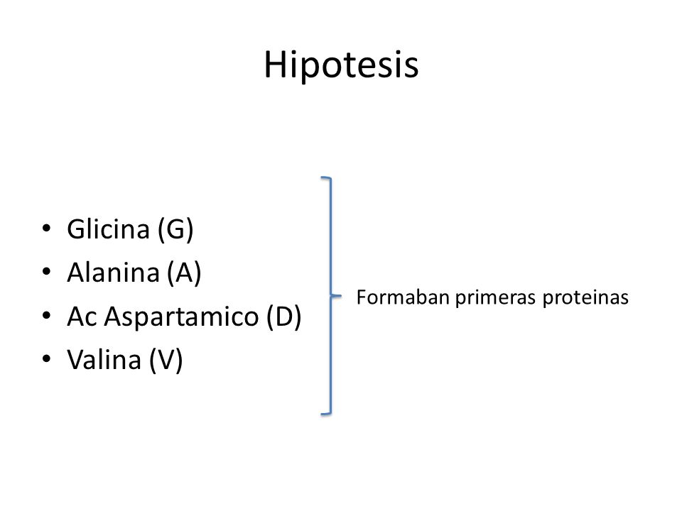 Hipotesis Glicina (G) Alanina (A) Ac Aspartamico (D) Valina (V)