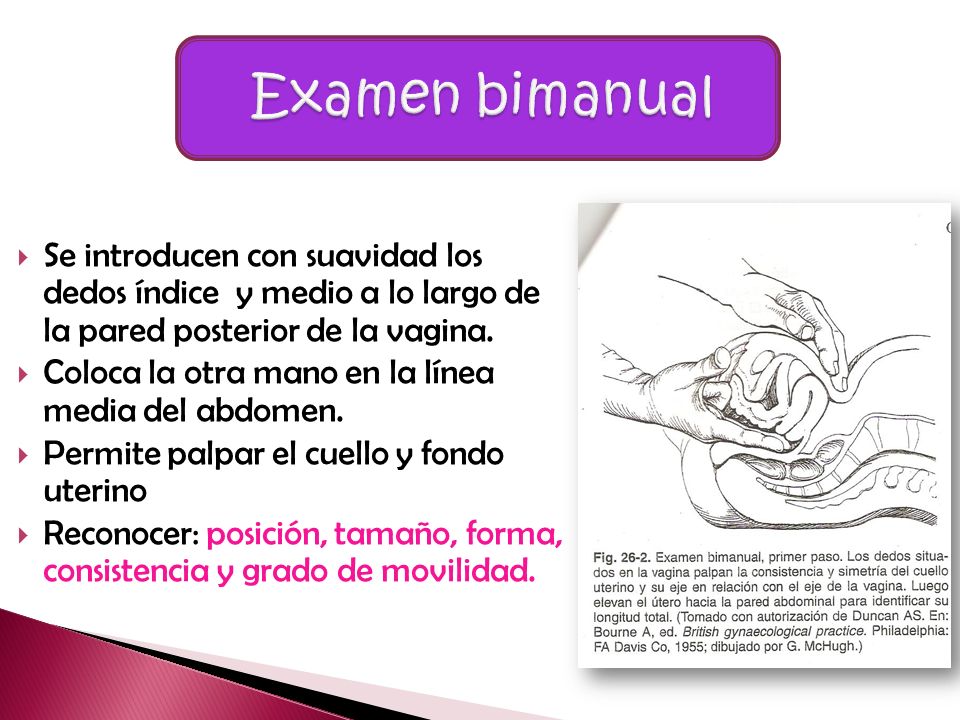 Examen bimanual Se introducen con suavidad los dedos índice y medio a lo largo de la pared posterior de la vagina.