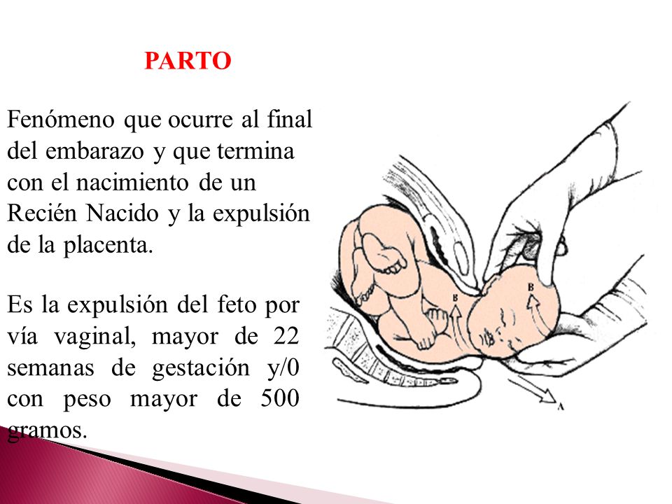 PARTO Fenómeno que ocurre al final del embarazo y que termina con el nacimiento de un Recién Nacido y la expulsión de la placenta.
