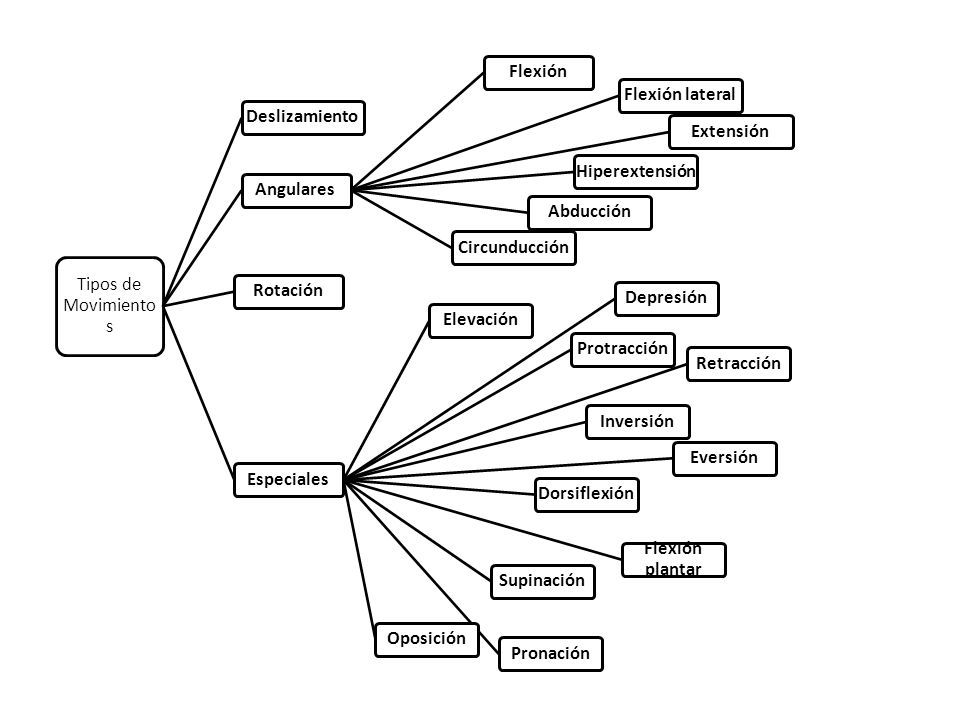 Tipos de Movimientos Deslizamiento. Angulares. Flexión. Flexión lateral. Extensión. Hiperextensión.