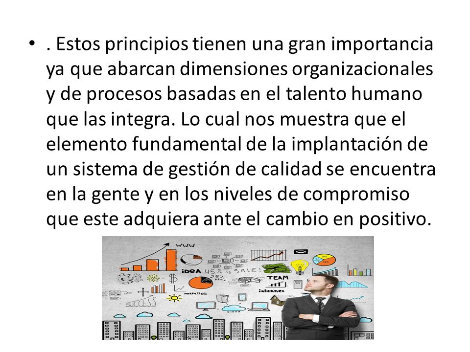 Estos principios tienen una gran importancia ya que abarcan dimensiones organizacionales y de procesos basadas en el talento humano que las integra.