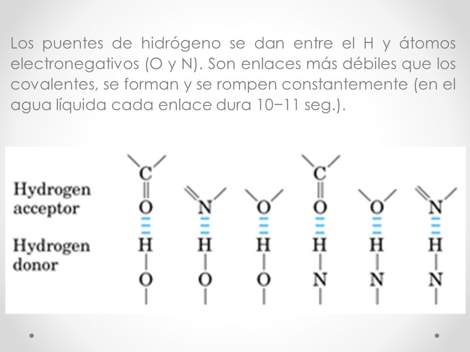 Los puentes de hidrógeno se dan entre el H y átomos electronegativos (O y N).