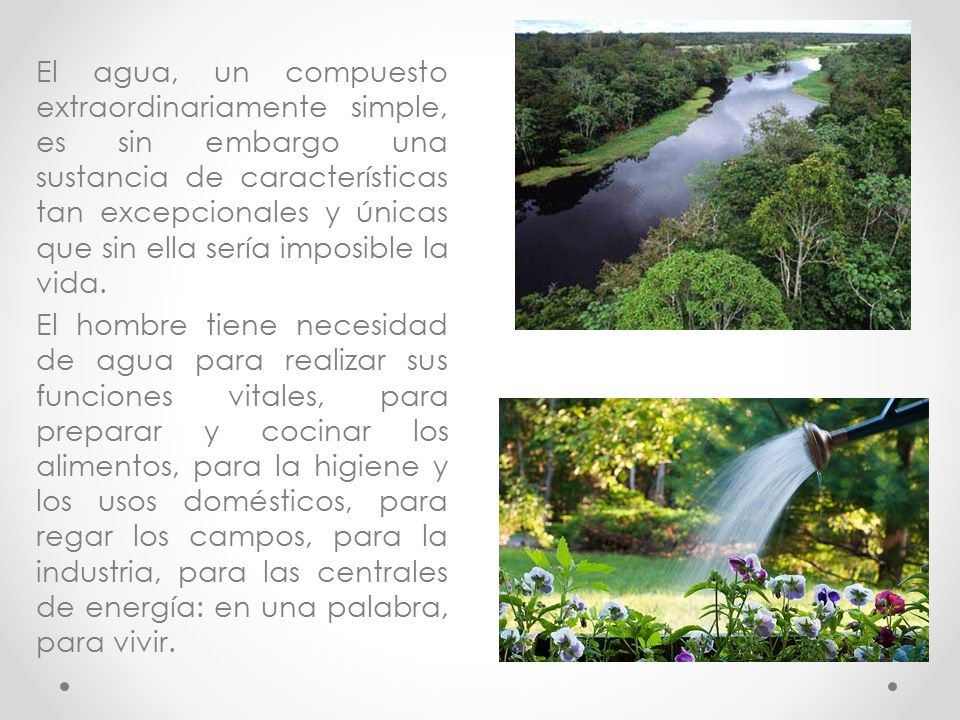 El agua, un compuesto extraordinariamente simple, es sin embargo una sustancia de características tan excepcionales y únicas que sin ella sería imposible la vida.