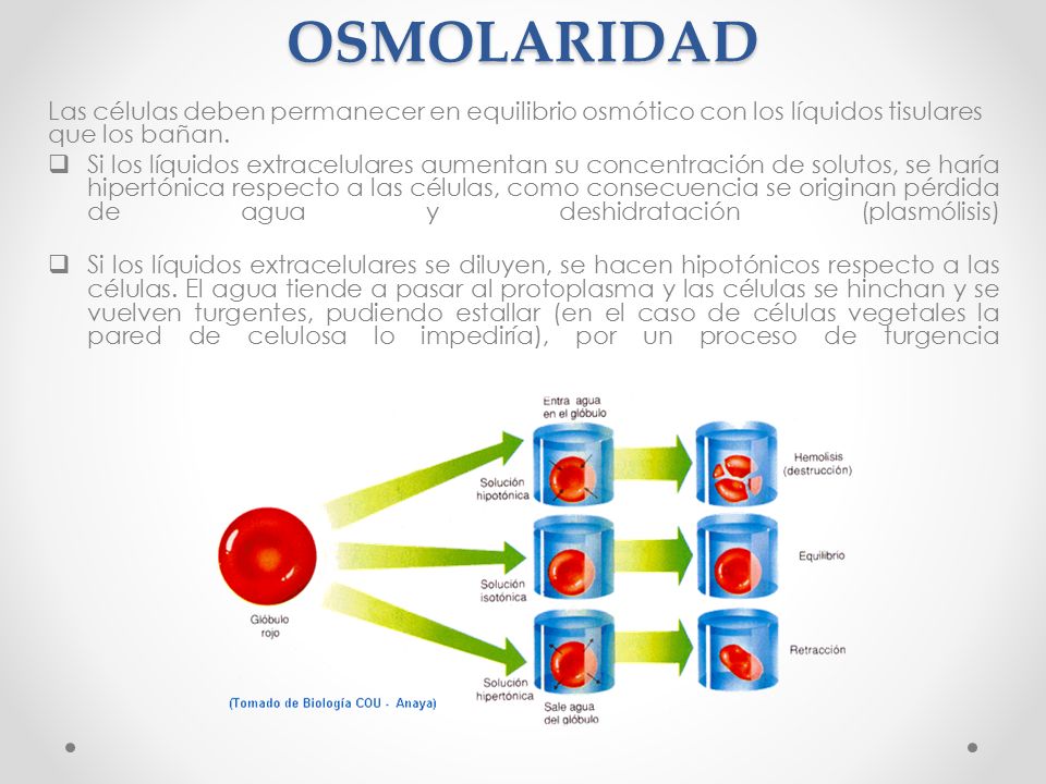 OSMOLARIDAD Las células deben permanecer en equilibrio osmótico con los líquidos tisulares que los bañan.