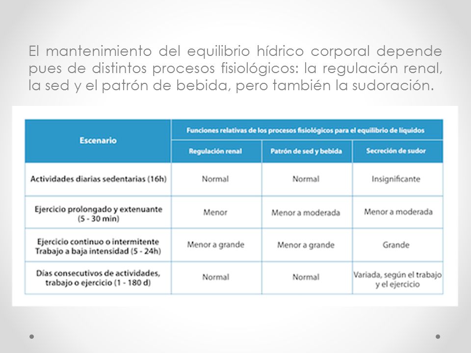 El mantenimiento del equilibrio hídrico corporal depende pues de distintos procesos fisiológicos: la regulación renal, la sed y el patrón de bebida, pero también la sudoración.