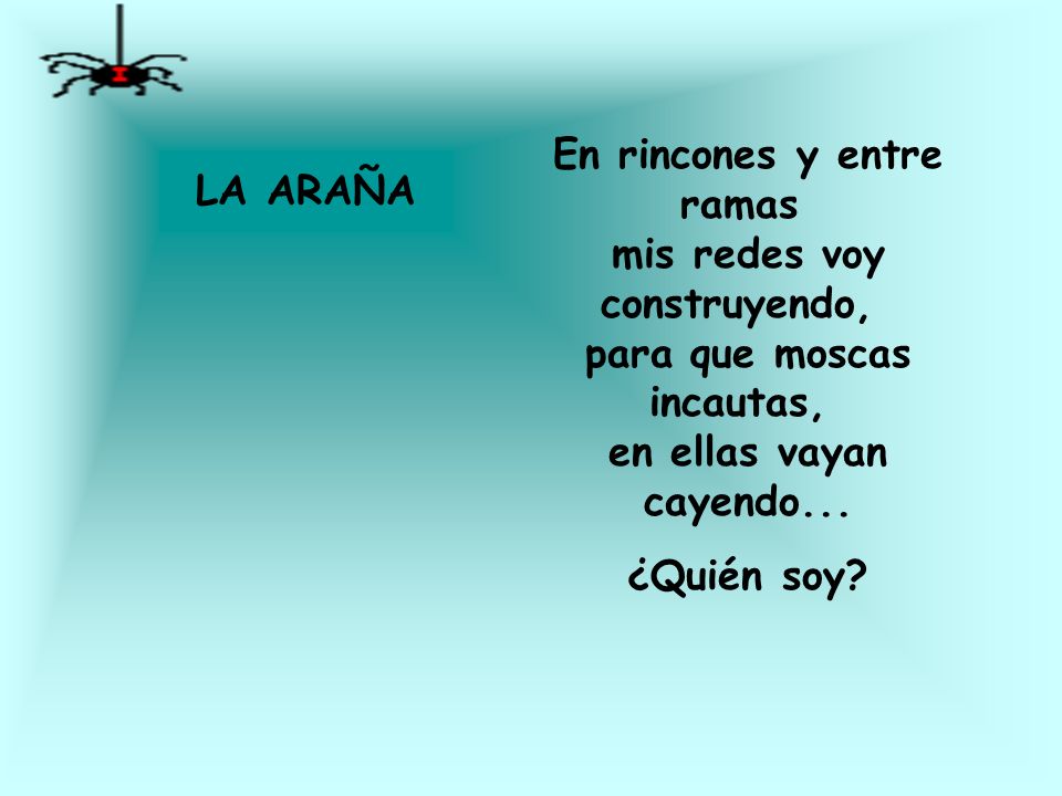 En rincones y entre ramas mis redes voy construyendo, para que moscas incautas, en ellas vayan cayendo...