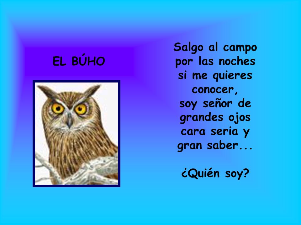 Salgo al campo por las noches si me quieres conocer, soy señor de grandes ojos cara seria y gran saber...