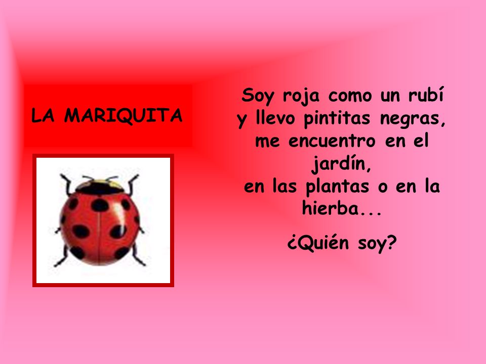 Soy roja como un rubí y llevo pintitas negras, me encuentro en el jardín, en las plantas o en la hierba...