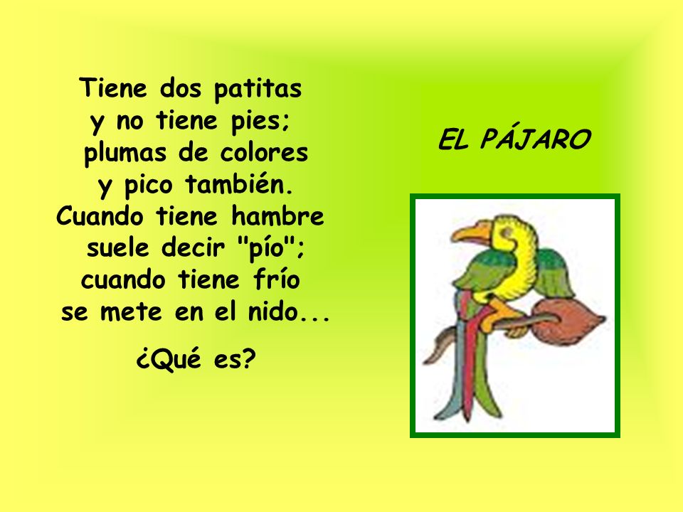 Tiene dos patitas y no tiene pies; plumas de colores y pico también