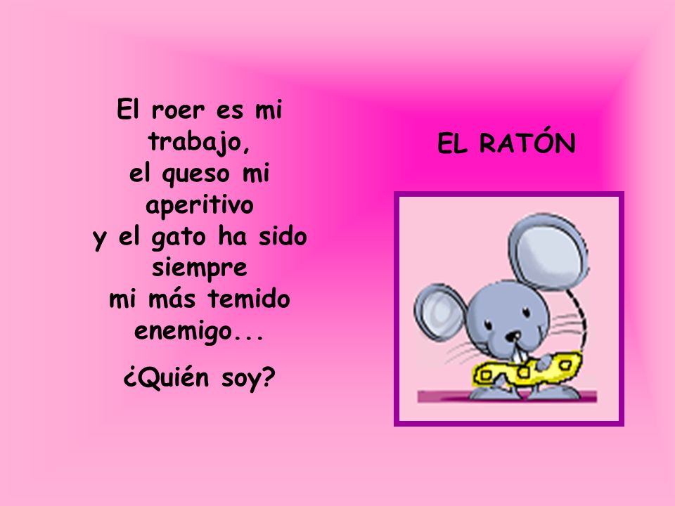 El roer es mi trabajo, el queso mi aperitivo y el gato ha sido siempre mi más temido enemigo...