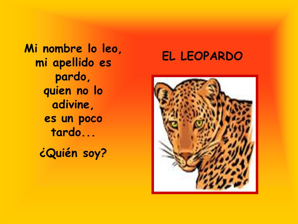EL LEOPARDO Mi nombre lo leo, mi apellido es pardo, quien no lo adivine, es un poco tardo...