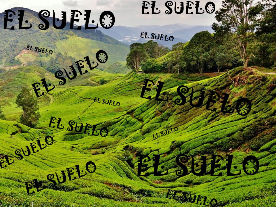 EL SUELO EL SUELO EL SUELO EL SUELO EL SUELO EL SUELO EL SUELO