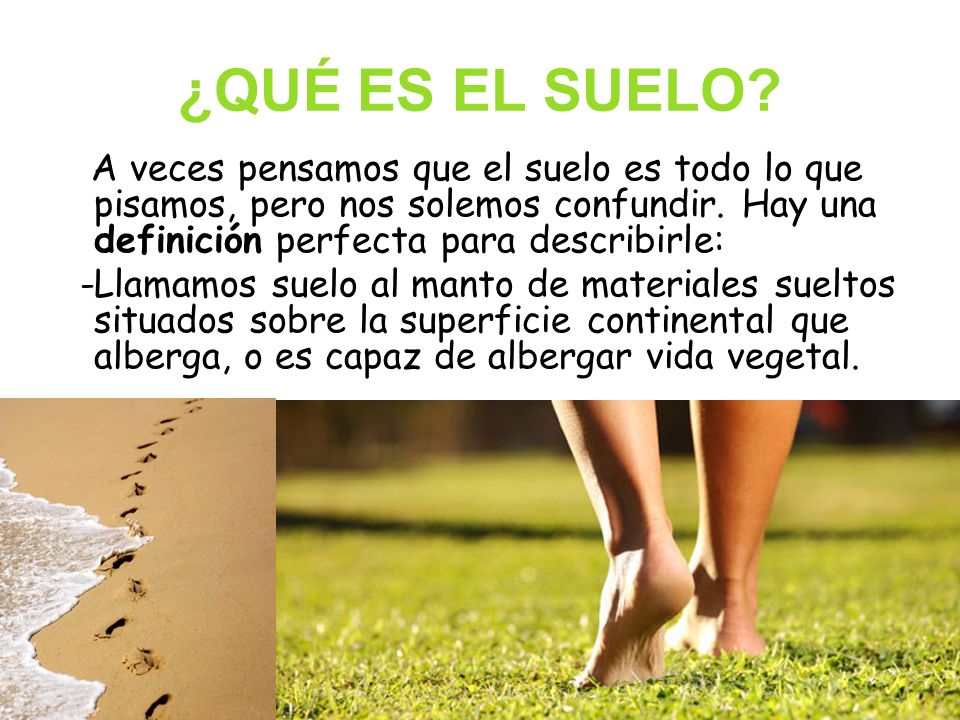 ¿QUÉ ES EL SUELO A veces pensamos que el suelo es todo lo que pisamos, pero nos solemos confundir. Hay una definición perfecta para describirle: