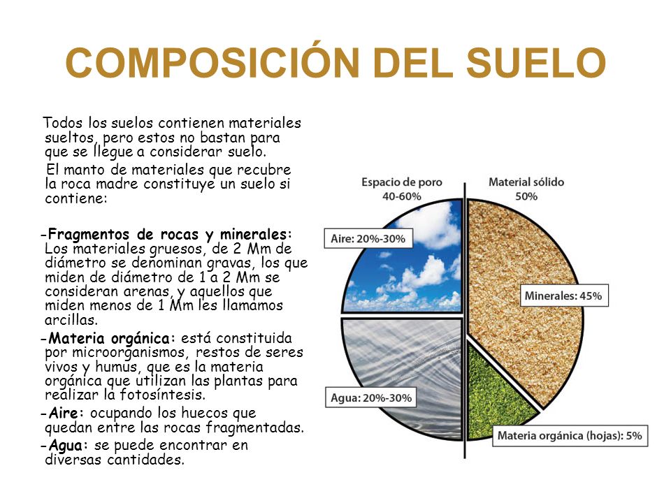 COMPOSICIÓN DEL SUELO Todos los suelos contienen materiales sueltos, pero estos no bastan para que se llegue a considerar suelo.