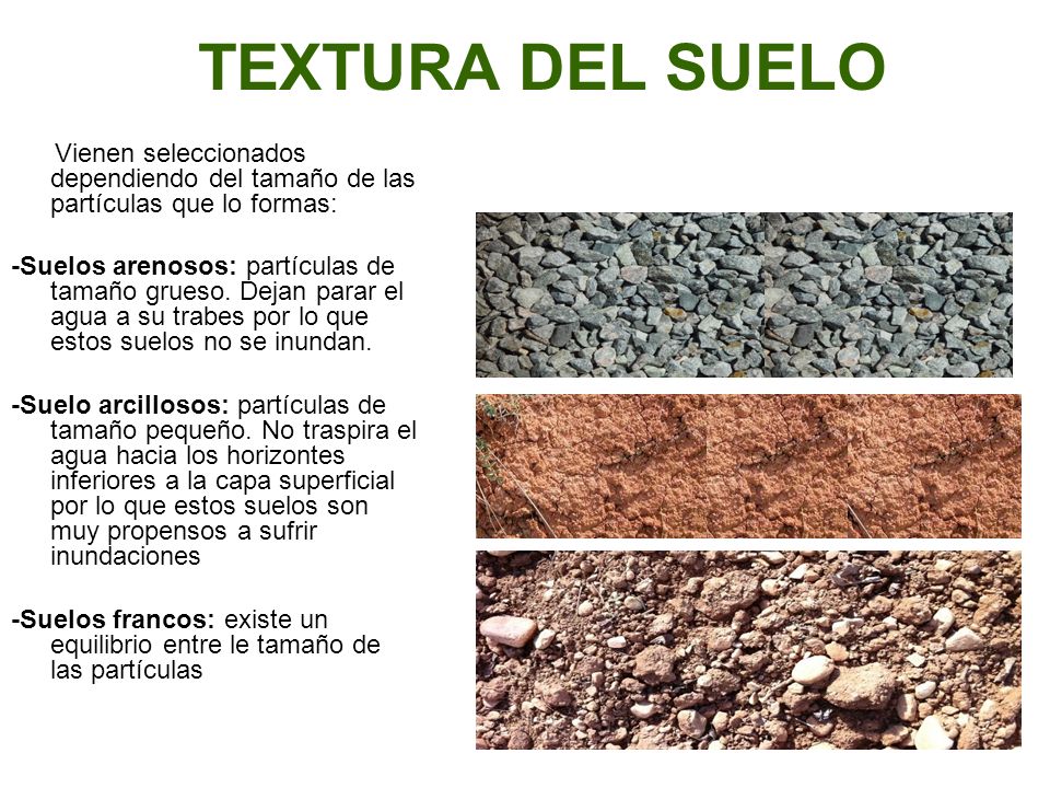 TEXTURA DEL SUELO Vienen seleccionados dependiendo del tamaño de las partículas que lo formas: