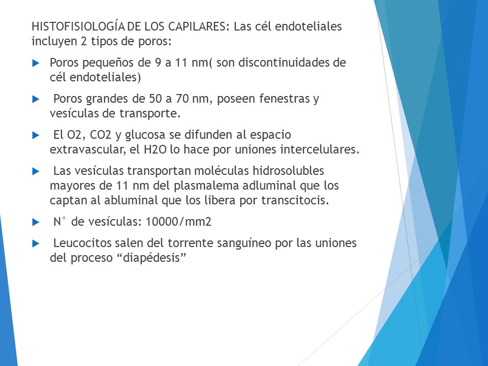 HISTOFISIOLOGÍA DE LOS CAPILARES: Las cél endoteliales incluyen 2 tipos de poros: