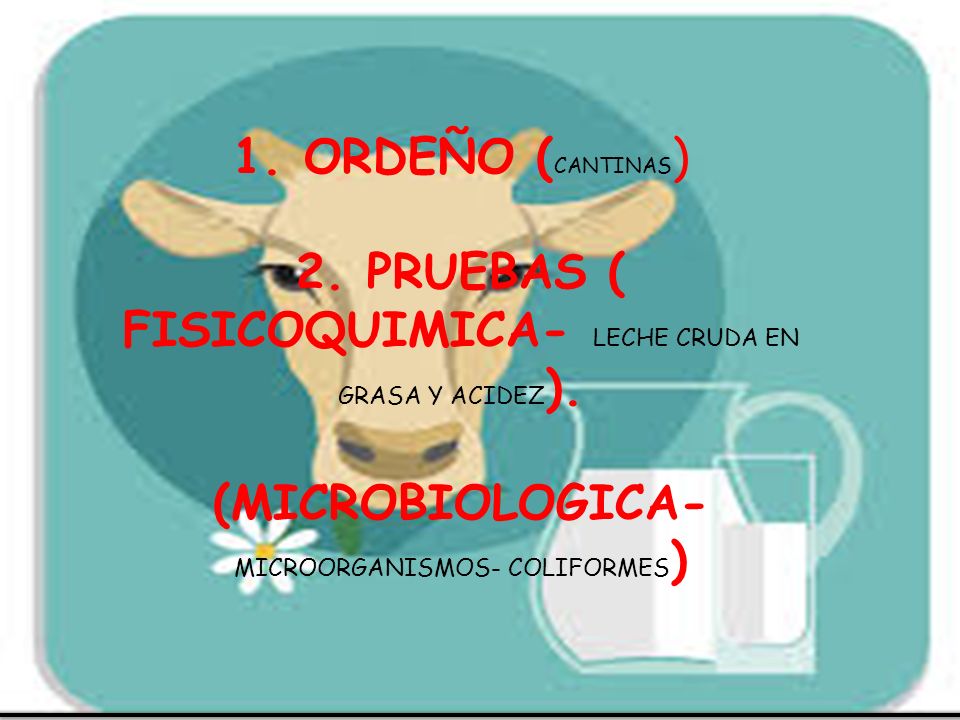 1. ORDEÑO (CANTINAS) 2. PRUEBAS ( FISICOQUIMICA- LECHE CRUDA EN GRASA Y ACIDEZ).