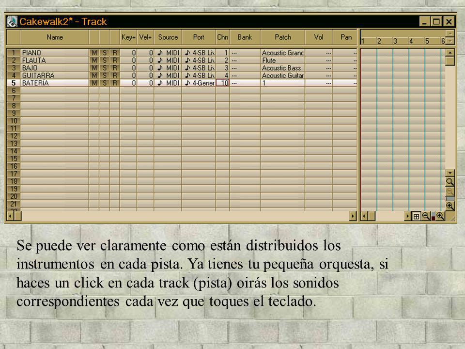 Se puede ver claramente como están distribuidos los instrumentos en cada pista.