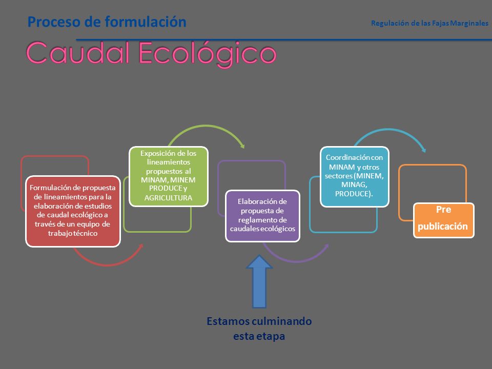 Caudal Ecológico Proceso de formulación Estamos culminando esta etapa