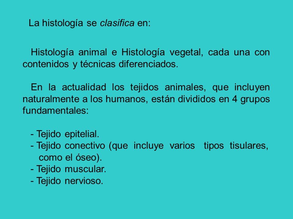 - Tejido conectivo (que incluye varios tipos tisulares, como el óseo).