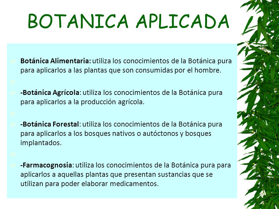 BOTANICA APLICADA Botánica Alimentaria: utiliza los conocimientos de la Botánica pura para aplicarlos a las plantas que son consumidas por el hombre.