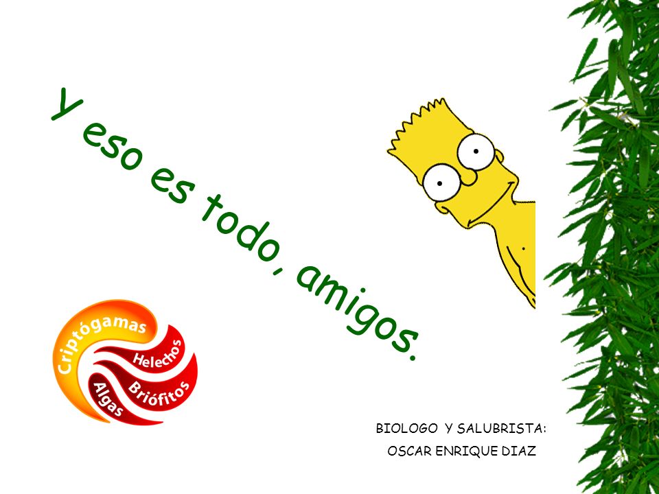 Y eso es todo, amigos. BIOLOGO Y SALUBRISTA: OSCAR ENRIQUE DIAZ