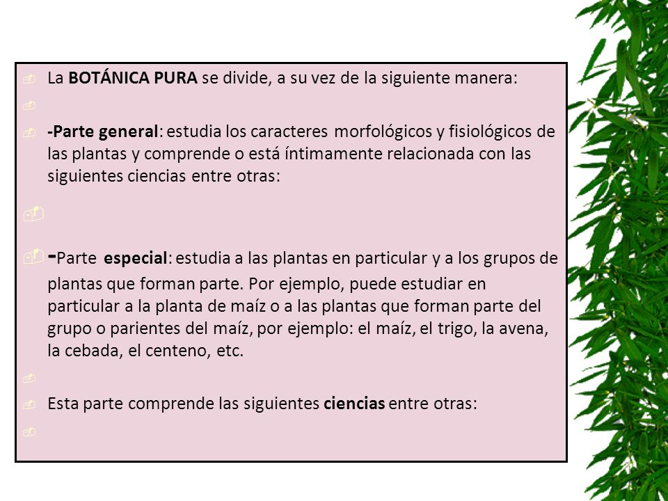 La BOTÁNICA PURA se divide, a su vez de la siguiente manera: