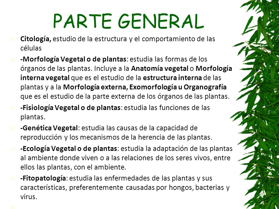 PARTE GENERAL Citología, estudio de la estructura y el comportamiento de las células.