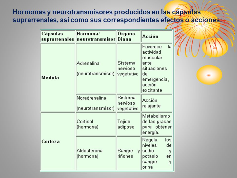 Hormonas y neurotransmisores producidos en las cápsulas suprarrenales, así como sus correspondientes efectos o acciones: