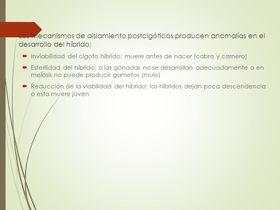 Los mecanismos de aislamiento postcigóticos producen anomalías en el desarrollo del híbrido: